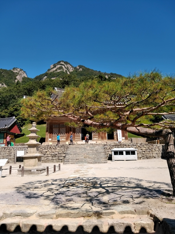  [전라도 여행] 뷰깡패 변산자연휴양림, 내소사 강추!!