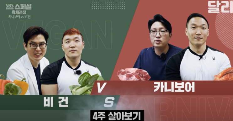 sbs다큐 육채전쟁 리뷰 - 다이어트(3)