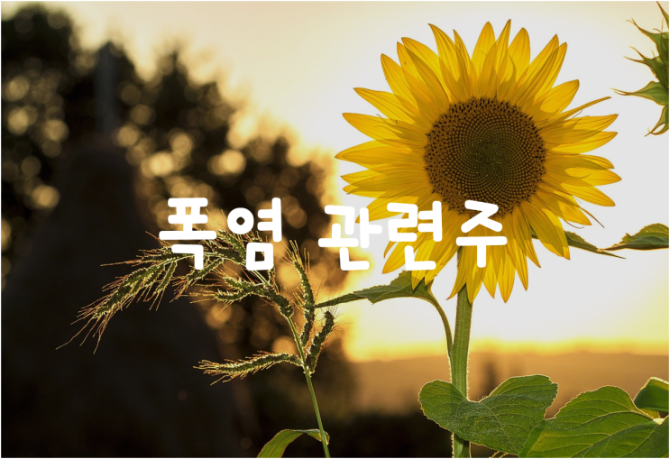  폭염 관련주: 롯데칠성, 빙그레, 에스씨디, 위닉스