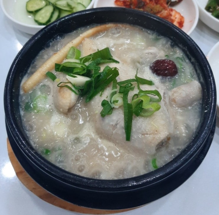 대전 맛집 탄방동/둔산동/탄방역/롯데백화점 근처 풍전삼계탕(복날 중복 여름 보양식 삼계탕) 솔직 후기