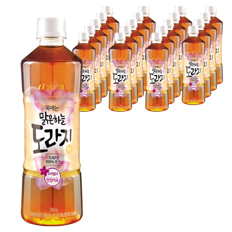 잘팔리는 빙그레 맑은하늘 도라지차, 500ml, 20개 좋아요