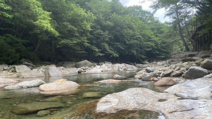  가장 큰 기적 별일 없는 하루