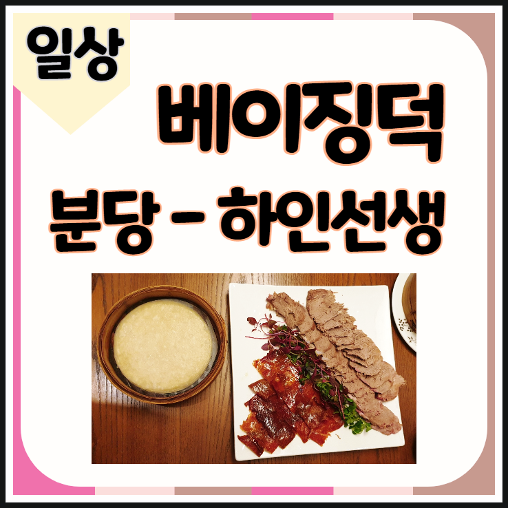 베이징덕 맛있는 분당중식당맛집 하인선생