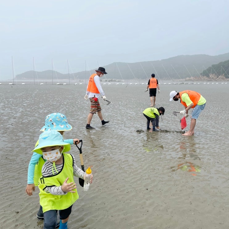 서울근교 당일 갯벌체험 아이랑 하나개해수욕장