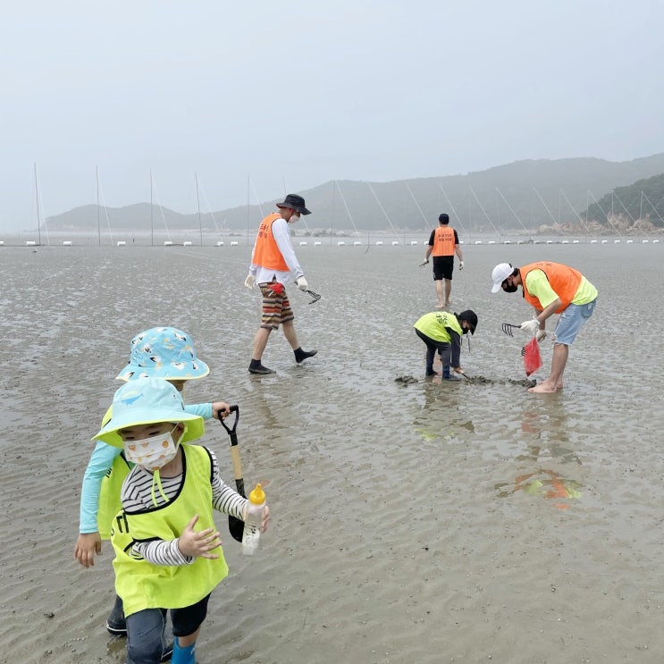  서울근교 당일 갯벌체험 아이랑 하나개해수욕장