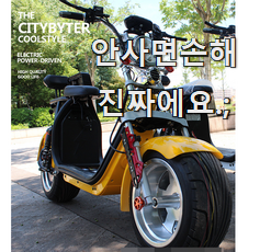  비교선택 전동스쿠터 나만의 선택 친구도 인정해요.