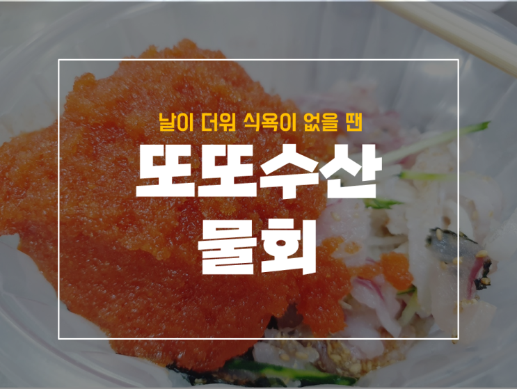  입맛이 없을땐 이거 어때? 또또수산 물회 후기