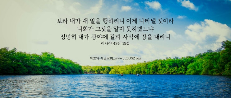 새일교회 난구절특강 | 119. 두 증인에 대하여 (계 11:3)