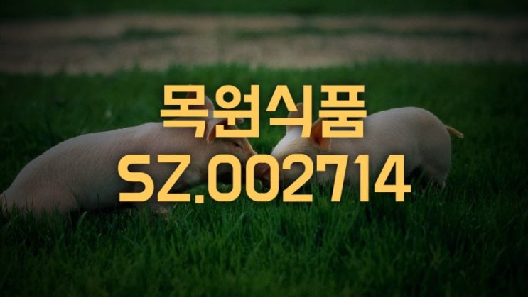  중국 대표 양돈기업, 목원식품(SZ.002714), 상반기 예상실적 발표