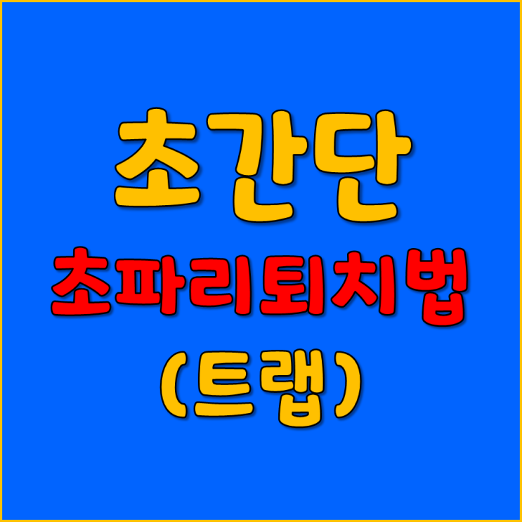  지긋지긋한 초파리 퇴치법 (초간단) - 다이x 초파리 트랩 아님