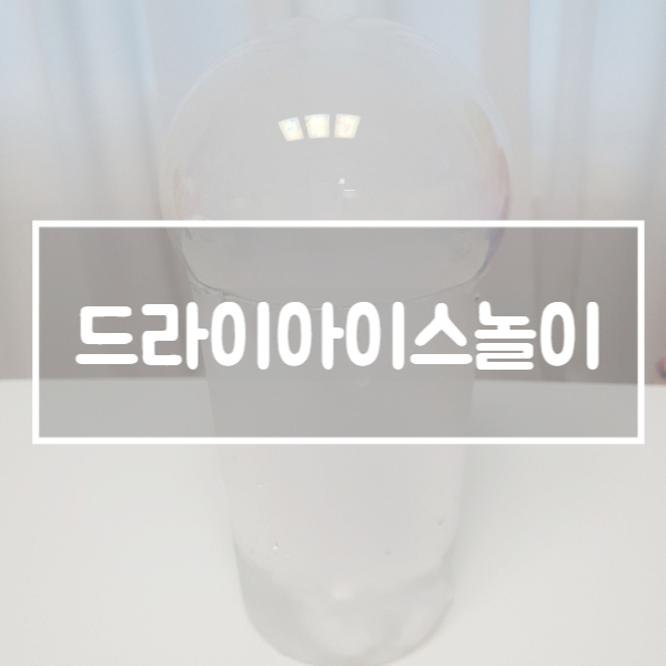  엄마표 과학놀이 :: 드라이아이스 놀이