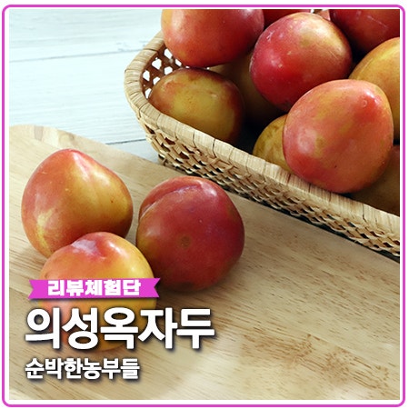 의성옥자두 순박한농부들에서 새콤달콤 자두 맛보세요 의성옥자두 순박한농부들에서 새콤달콤 자두 맛보세요