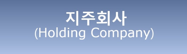  지주회사의 더블카운팅 및 지주회사의 NAV 할인율