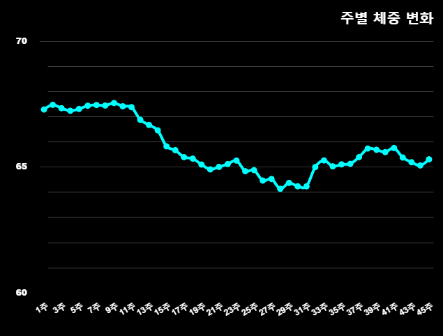  [다이어트 이후의 일기 & 다이어리 - 46~48주 차] : 드로인 운동은 절대 하지마라.