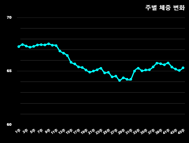 [다이어트 이후의 일기 & 다이어리 - 46~48주 차] : 드로인 운동은 절대 하지마라.