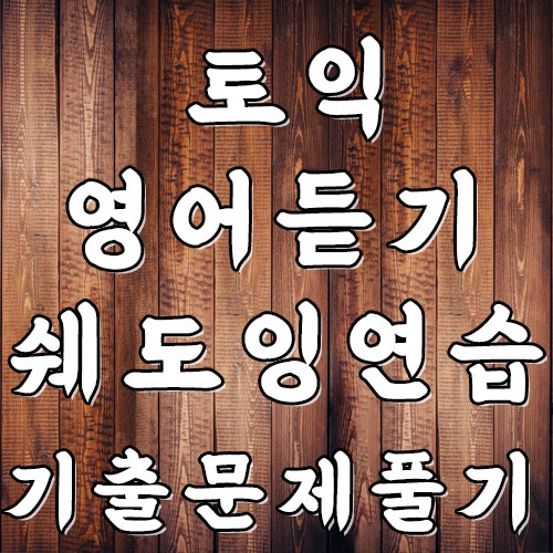 토익 단어 영어 듣기 영어쉐도잉 연습하기 (기출 문제 풀기)