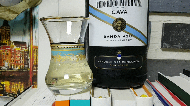 이마트24 저렴이 스페인 스파클링 화이트 와인 샴페인: 페데리코 파테르니나 까바 브뤼 내돈내산 후기