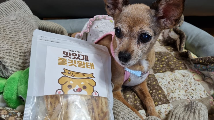 아워펫 생생쫄깃황태 저염조절하여 제조된 애견간식 급여했어요 아워펫 생생쫄깃황태 저염조절하여 제조된 애견간식 급여했어요