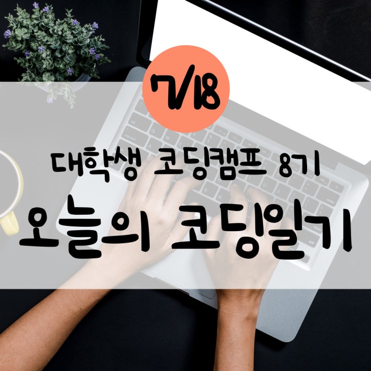  [코딩일기 1일차] 대코캠 대학생코딩캠프 8기 오늘의 코딩일기(변수, 함수, 파라미터)