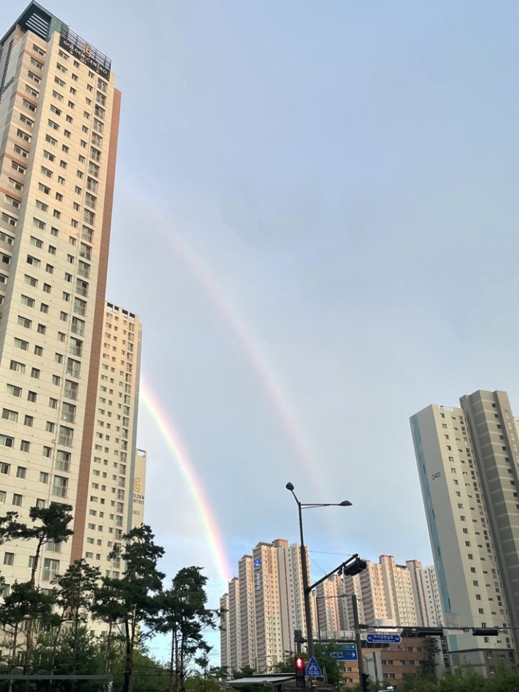  별거없지만 행복가득 7월일상