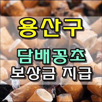 용산구 담배꽁초 주워오면 보상금 지급 용산구 담배꽁초 주워오면 보상금 지급