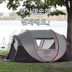  놀라운 가성비 팝업텐트 물건 리스트 맘에 듭니다.