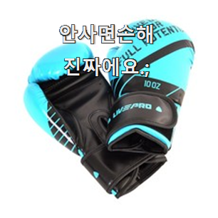  가격착한 복싱글러브 가성비 추천 추천 한다니깐요.