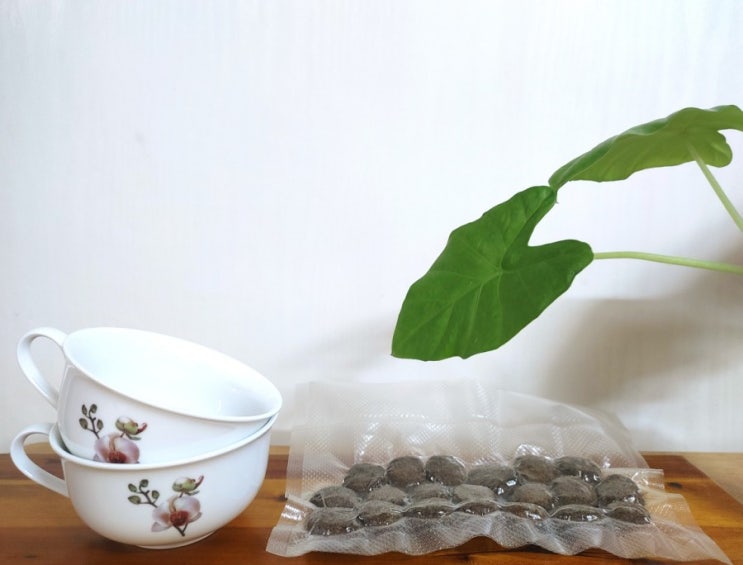  우아한생활 천연 수제솔잎차 