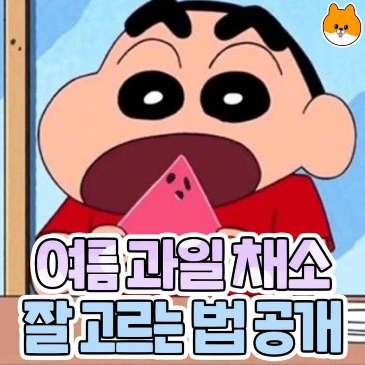  여름과일ㆍ채소 잘고르는 법