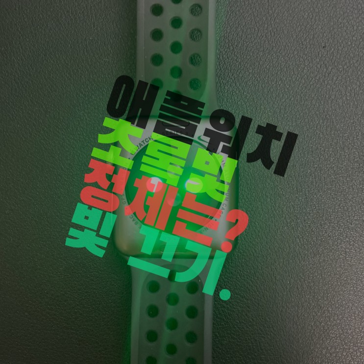 애플워치 초록빛 끄기 ( feat. 심박수 ) 초록불