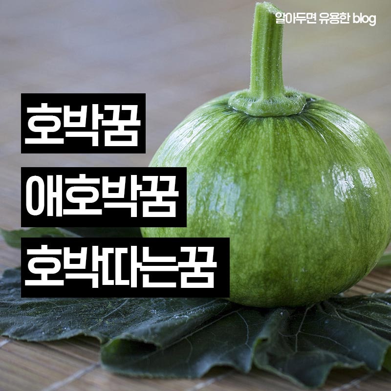 호박꿈, 애호박꿈 호박 따는 꿈 해몽