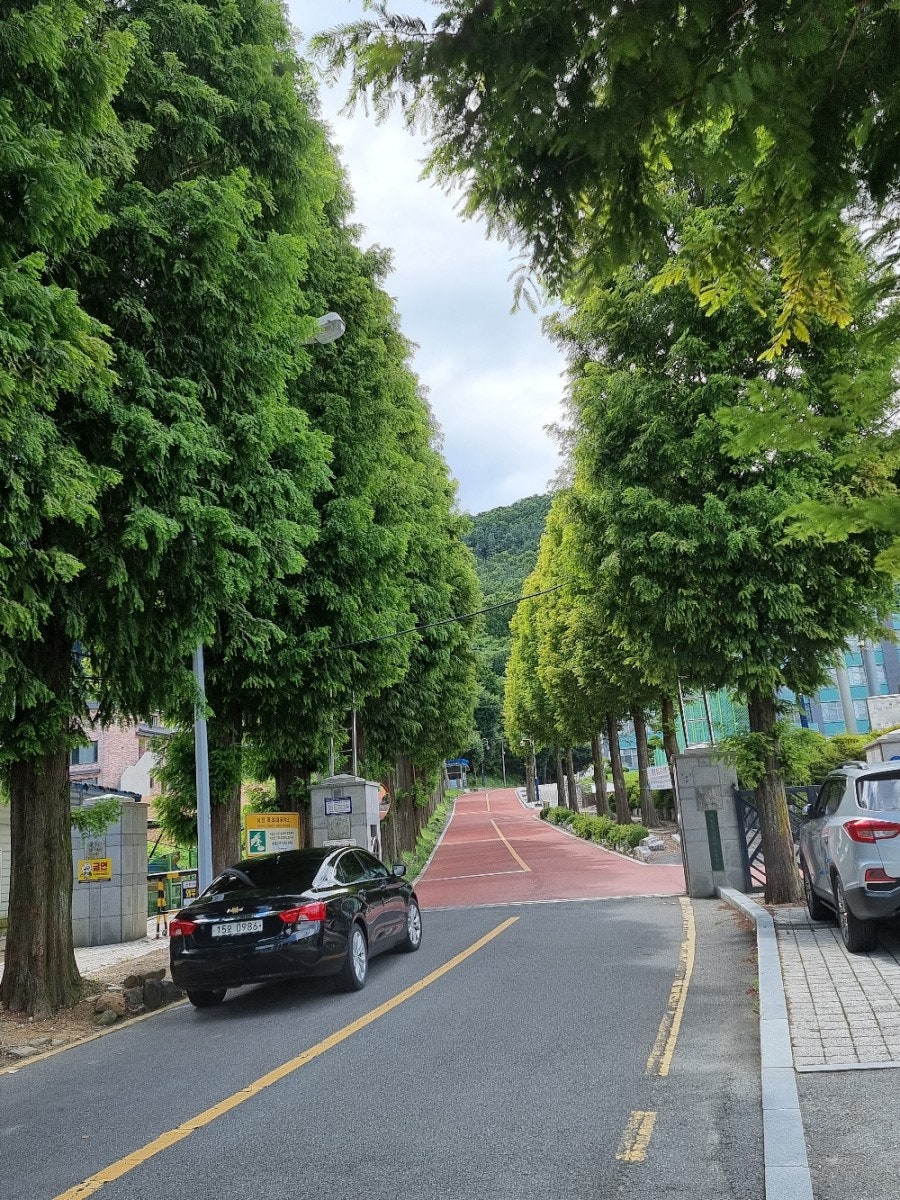 병걸네영양굴밥 사진 2