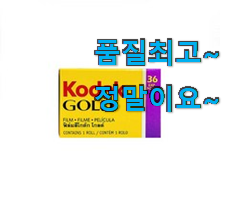요즘유행 필름카메라필름35mm 가성비 추천 휴가보다 더 행복하네요. 요즘유행 필름카메라필름35mm 가성비 추천 휴가보다 더 행복하네요.