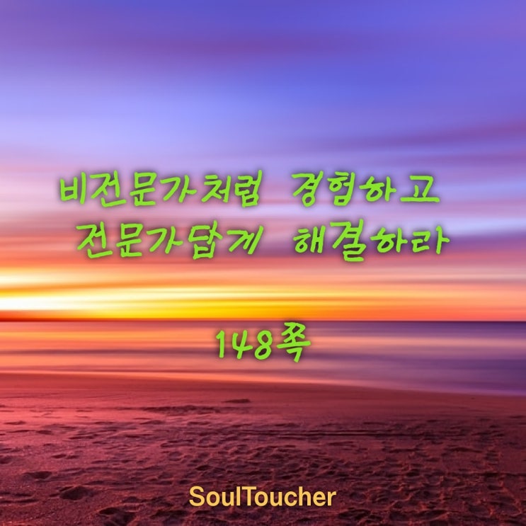 비전문가처럼 경험하고 전문가처럼 해결하라 비전문가처럼 경험하고 전문가처럼 해결하라
