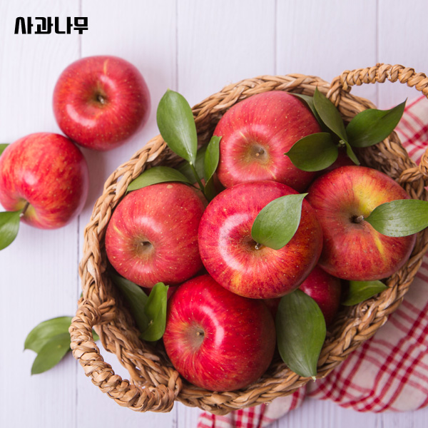 가성비갑 사과나무 맛있는 사과, 가정용 사과 3kg 꼬마소과 16-19과 내외 추천합니다