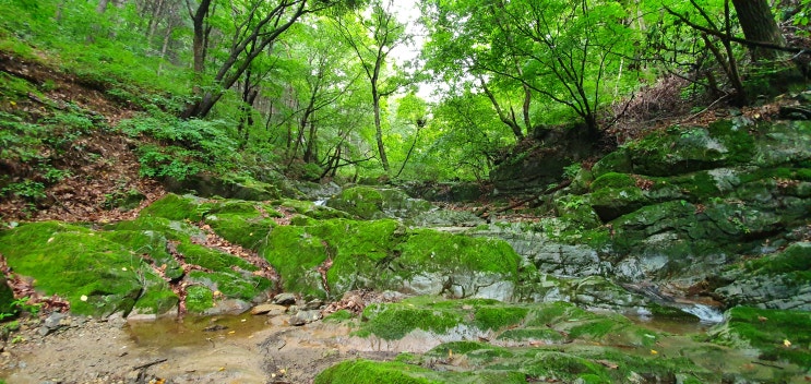  민락천의 발원지를 찾아서