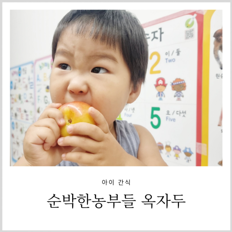 순박한농부들 자두 맛있는 아이 여름간식