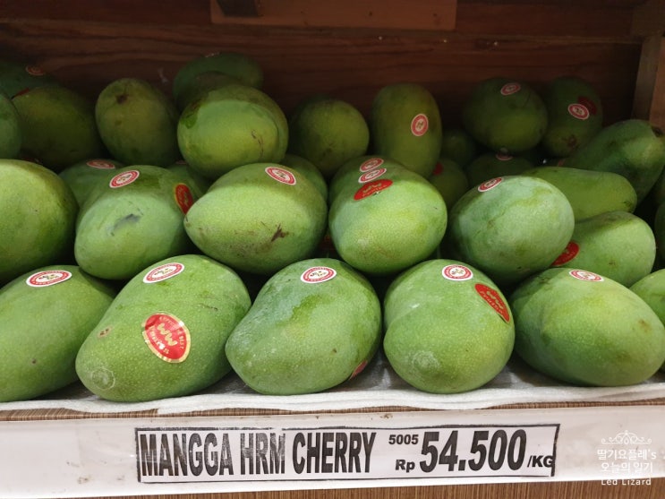  망고(Mangga) : 초록 망고!