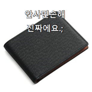  알뜰신상 루이비통지갑 베스트 인싸템 맘에 이렇게 쏙 들어요.