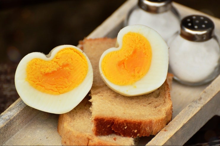 삶은 계란 흰자 칼로리와 4가지 효능 알아보아요