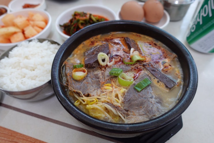 신제주 해장국 내장탕 사광이네(사광식당) 제주로컬맛집