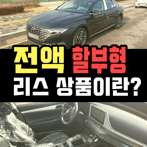  세금/선납금 0원, 전액 할부 리스 특판 (할부형 신차 리스)