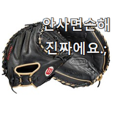  인기있는 포수글러브 베스트 선택 칭찬을 많이 받았어요.