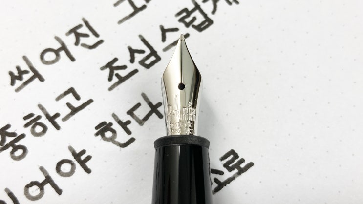  책 읽는 자세 (만년필 필사, 고딕체, 몽블랑 마이스터스튁 P145 파리의 영광)