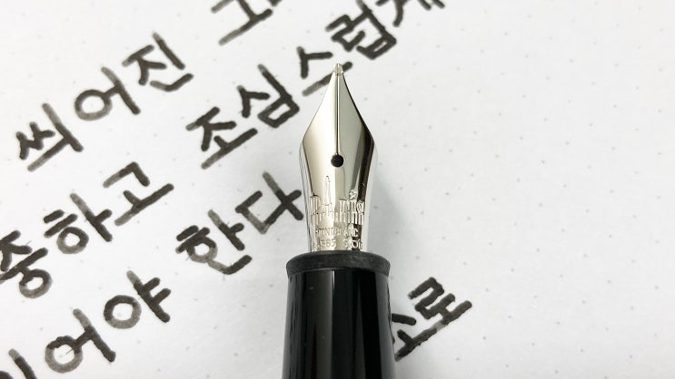 책 읽는 자세 (만년필 필사, 고딕체, 몽블랑 마이스터스튁 P145 파리의 영광)