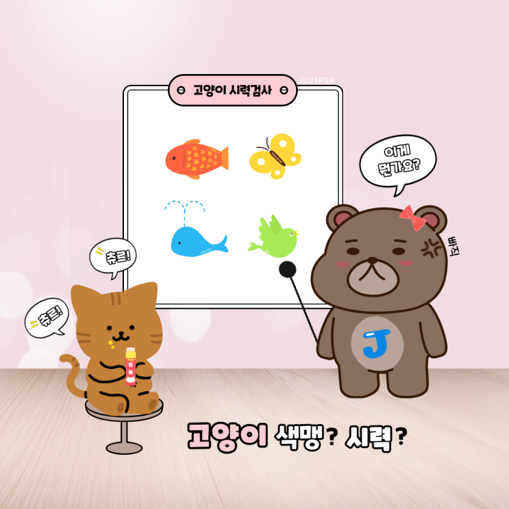  고양이 색맹과 시력 집사도 몰랐던 이야기