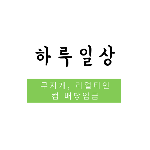 하루일상_서울 무지개+리얼티인컴 o 배당입금