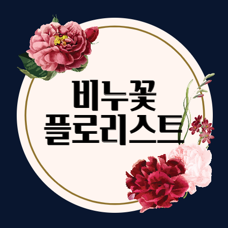  비누꽃플로리스트 강사 자격증반 소개