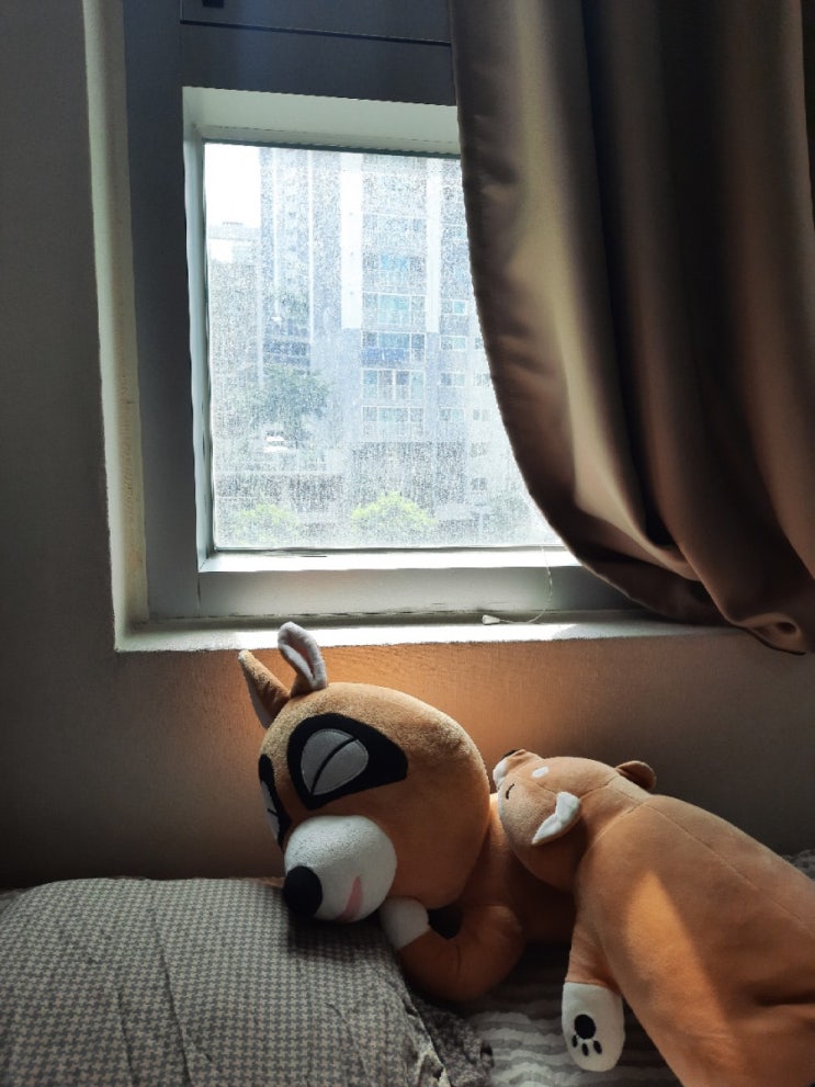  [07.19] 지금은 재택근무 중