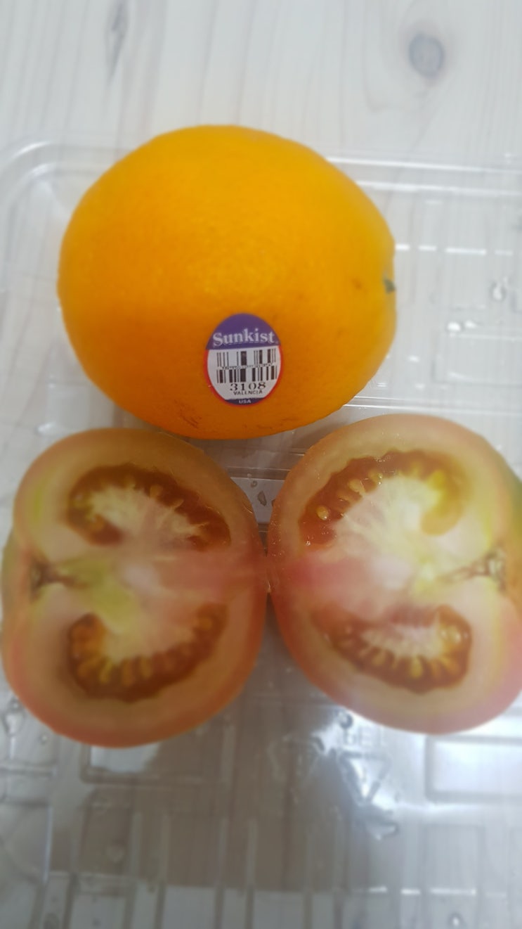  최애 음식